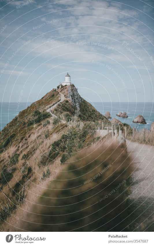 #As# TowerView Lighthouse Lighthouse beach New Zealand New Zealand Landscape Lanes & trails vacation Vacation mood postcard motif Coast Exterior shot Ocean