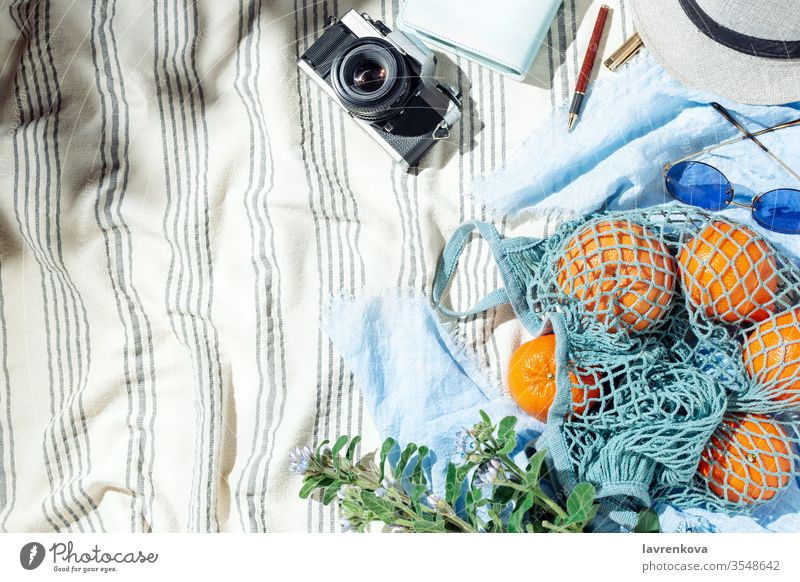 Summer picnic flatlay, fruits, berries and lemon water on striped cotton blanket bouquet camera citrus cold film flowers food fresh sunglasses grapefruit