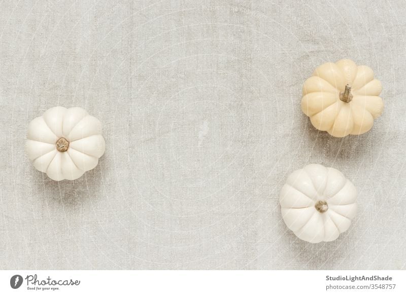 White Baby Boo pumpkins on canvas background white pale textile fabric rustic texture autumn squash gourd vegetable fall color colour season seasonal september