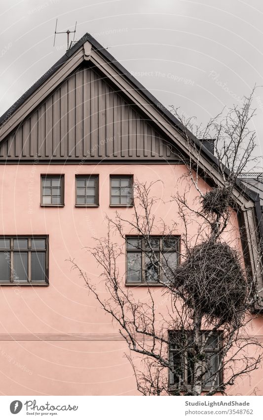 Huge bird nest in front of a pink house building buildings home window windows stork big huge tree branches wall pastel cream beige Europe European Stockholm