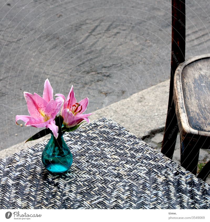 a potpourri of colour flowers bleed Vase Table Gastronomy Café Decoration decoration Street Gray Chair Pink Blue Flower vase