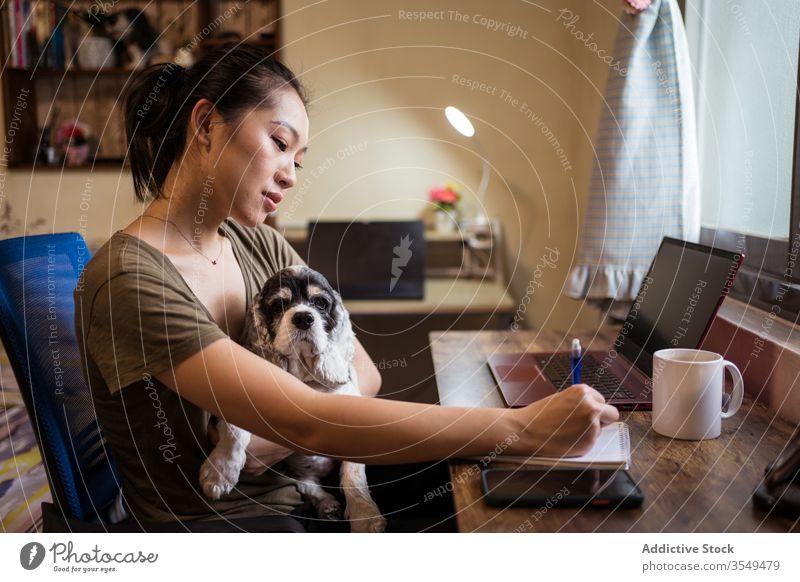 Busy Asian female entrepreneur working in home office at home pen paper notebook writing woman project notepad multitask take notes ethnic asian sit dog