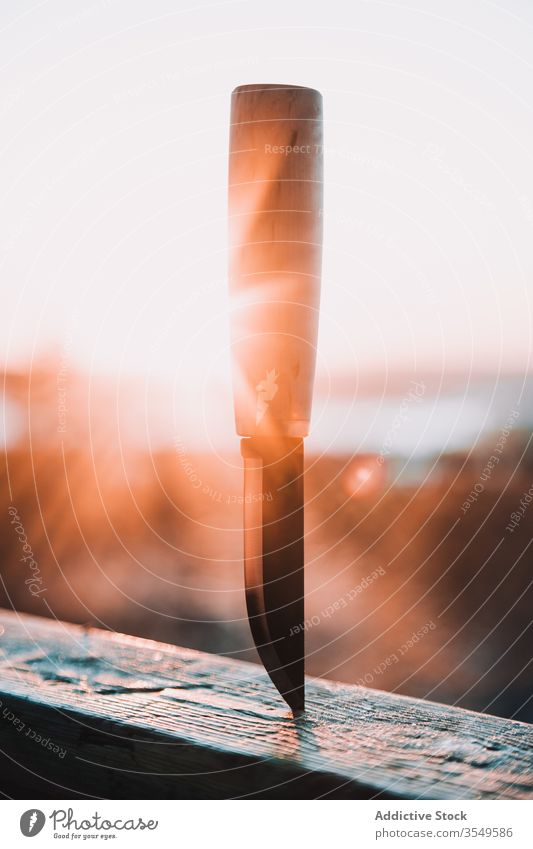 Knife stuck wooden railing against winter forest lumber knife fence nature timber countryside snow finland handle sunny cold rural tree rustic village plant