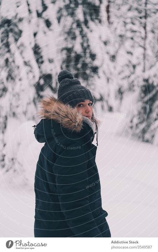 Traveler walking in snowy forest traveler winter woman tree spruce coniferous stand nature finland female cold season white weather tranquil lifestyle frozen