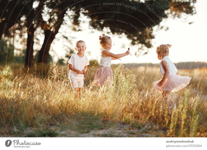 three children playing in the field in summer. young children playing outdoors smiling. happy family. carefree childhood happiness meadow park fun together