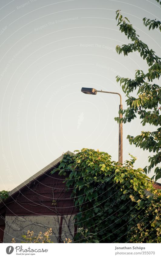 Street lamp above the pergola Environment Nature Sky Cloudless sky Sun Summer Beautiful weather Plant Tree Esthetic Contentment Garden plot Street lighting