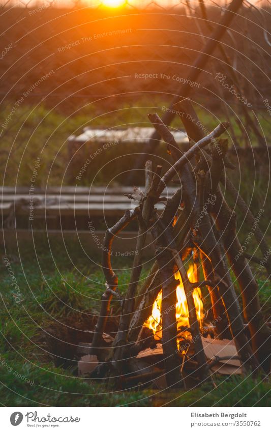 Campfire in the garden at sunset campfire Camp fire atmosphere vacation campfire romanticism out Sunset Garden Fire sunshine Cozy be out