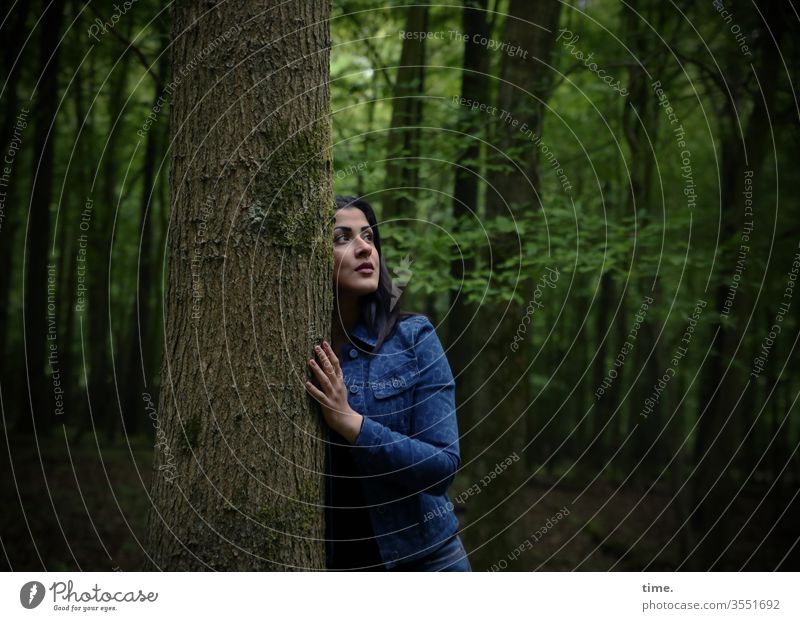 IN THE WOODS Forest tree conceit Stand Observe see look spring Mysterious Discover shy Safety Protection green