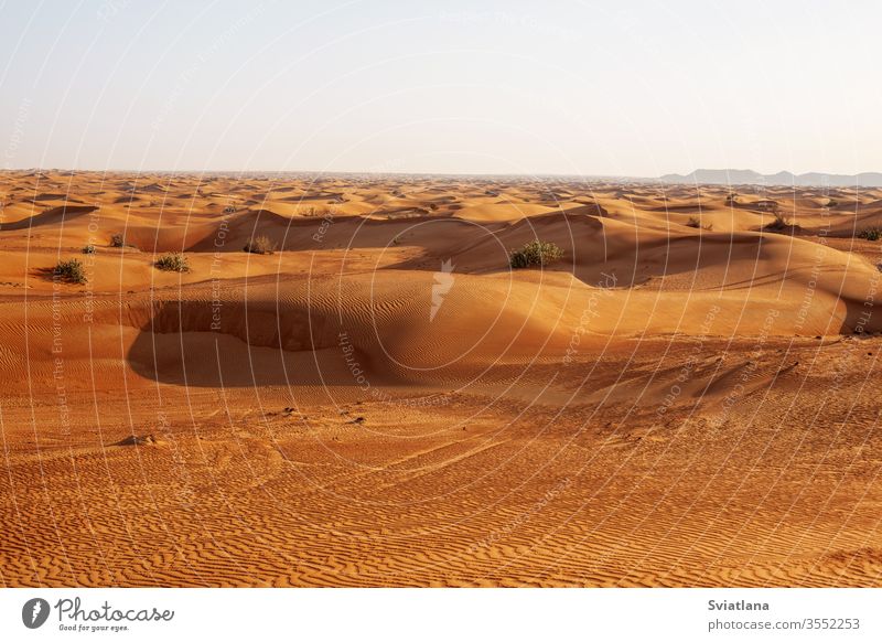 Sand dunes in the desert at sunset in Dubai safari adventure africa african arabian arabic background beautiful blue dry egypt empty erg extreme heat hill