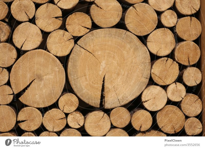 stacked wooden beams Brown firewood Macro (Extreme close-up) Tree trunk tree Forest