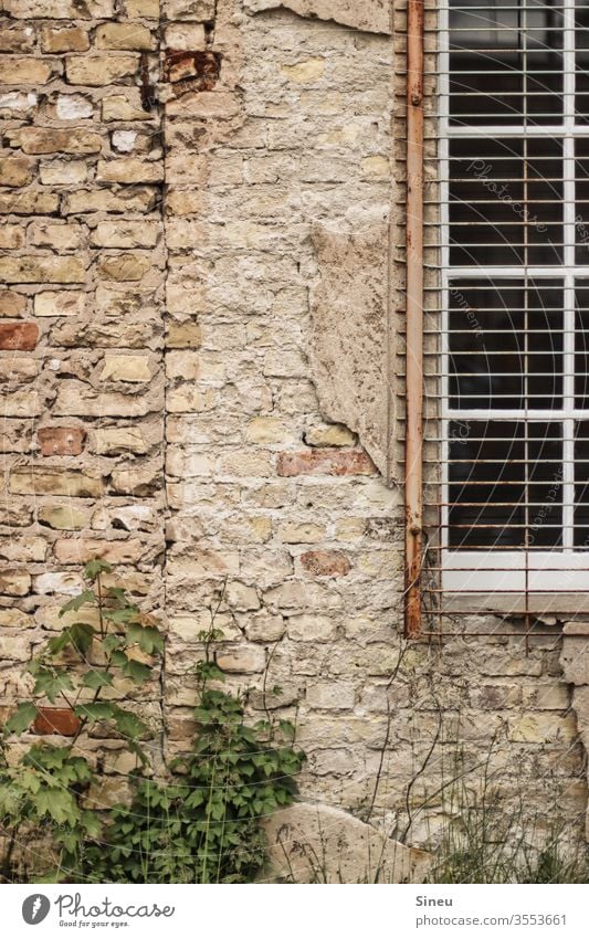 Decayed building with windows and green plants House (Residential Structure) derelict house built Building exterior masonry Commercial enterprise