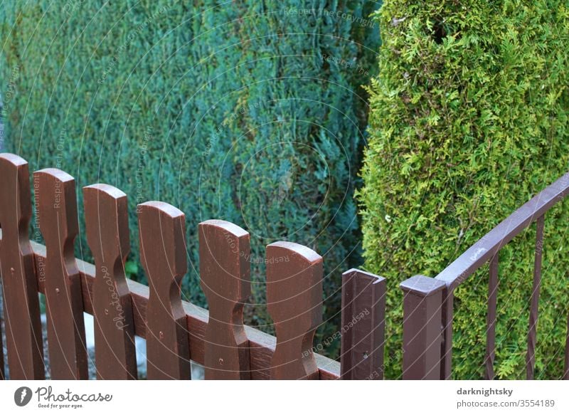 Hedges and fences on a property line Real estate Deserted Border Garden Summer White Trees of Life plants green gated community in need of renovation