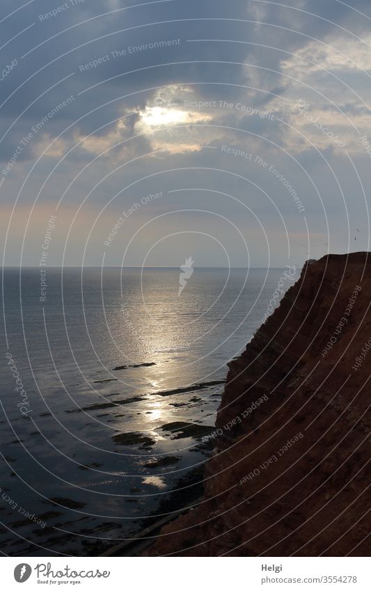 Evening mood at the red rocks on Helgoland Sunset North Sea Island North Sea Islands steep coast Horizon reflection Moody evening mood Sky Clouds Nature