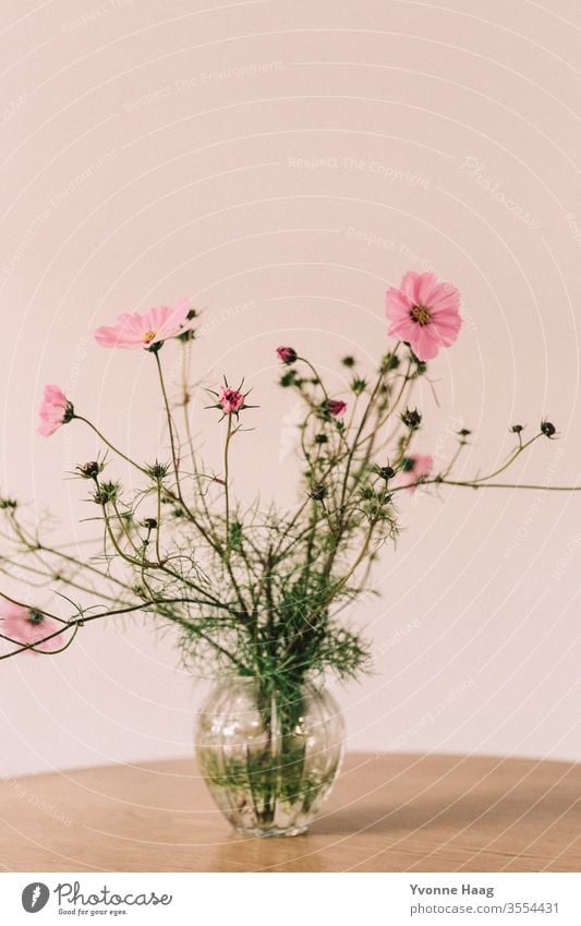 Bouquet with full flowers and flower buds Flower field Flower meadow Meadow pink Sunset Summer Autumn Autumnal Summery summer light Blossom leave Bud