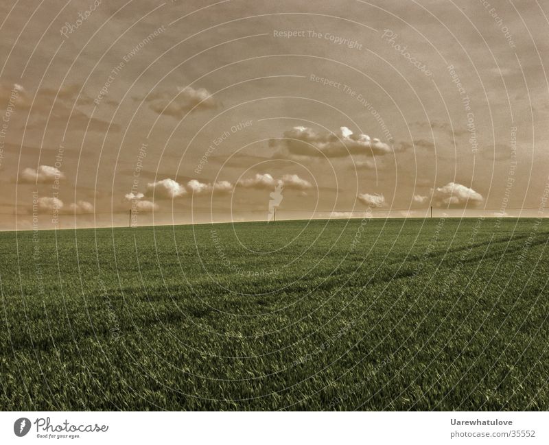 wanderlust Meadow Clouds Horizon grass Far-off places Sky Landscape natures