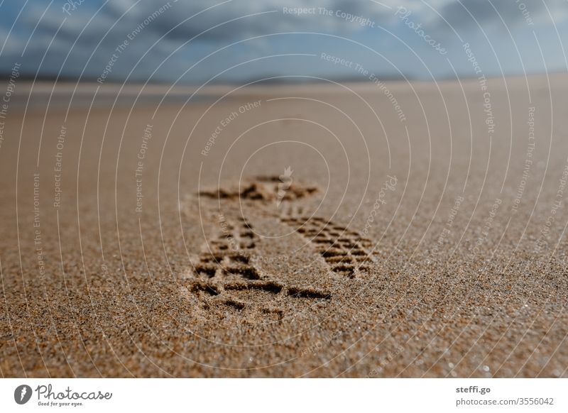 Wide angle shot at the sandy beach with rocks and blue sky Sandy beach Beach rock salt Coast Ocean Vacation & Travel Nature Landscape Water Travel photography