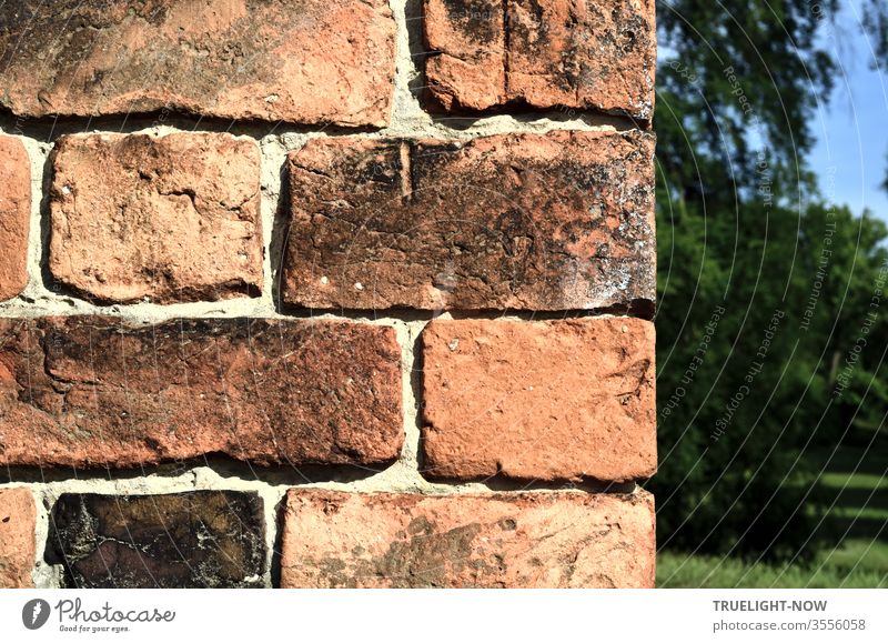 Past a wall of very old bricks in the sunlight, the view falls on a meadow with shadows, high trees, bushes and a piece of blue sky Wall (barrier) Bricks Old