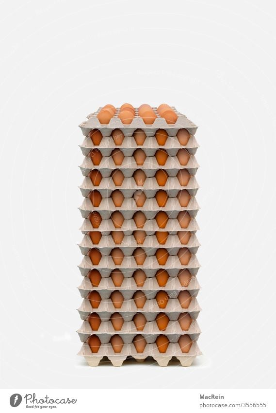 Egg pallets eggs egg pallet Egg carton Bird's eggs chicken fowls Hen's egg Chicken eggs breakfast egg breakfast eggs Eggs cardboard egg cartons nobody