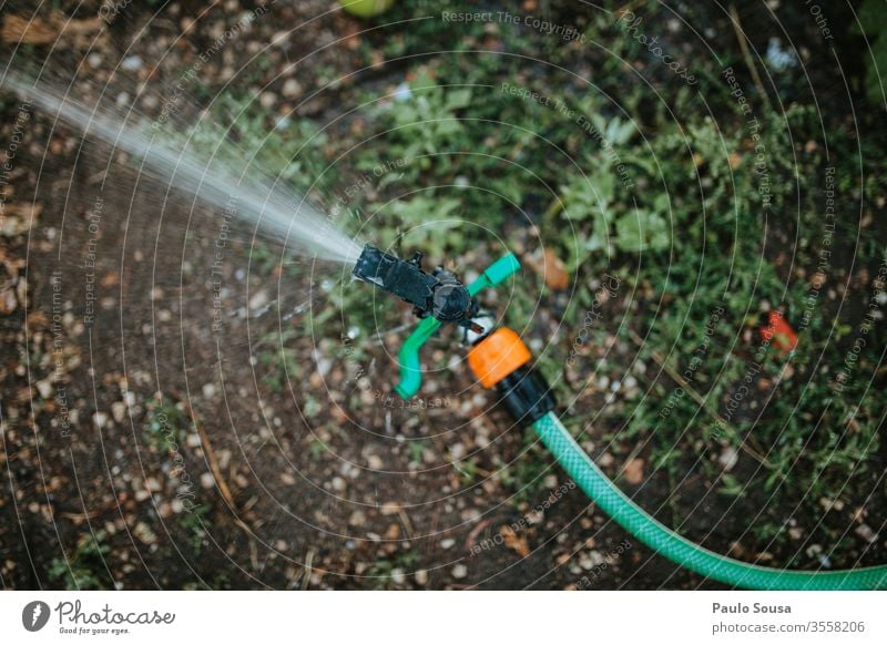 garden irrigation sprinkler Sprinkle Garden Irrigation Summer Spring Water Gardening Colour photo Hose Water hose Gardener Wet Green Garden hose Nature Day