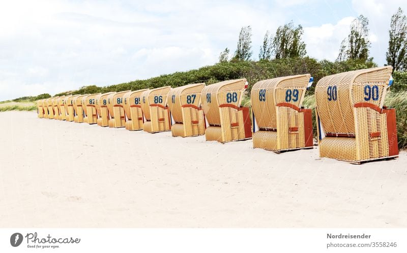 off-season Wide angle Panorama (View) Sunlight Day Copy Space bottom Deserted Exterior shot Colour photo Wanderlust Relaxation Idyll beach chair Longing Life