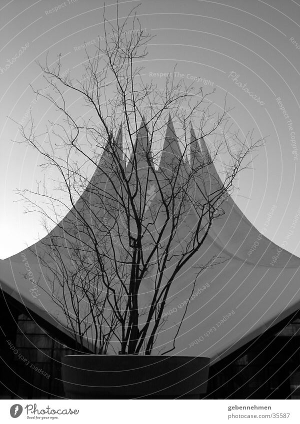 Hurry! Tempodrom Town Architecture Berlin Black & white photo Dusk The 5th cardinal point