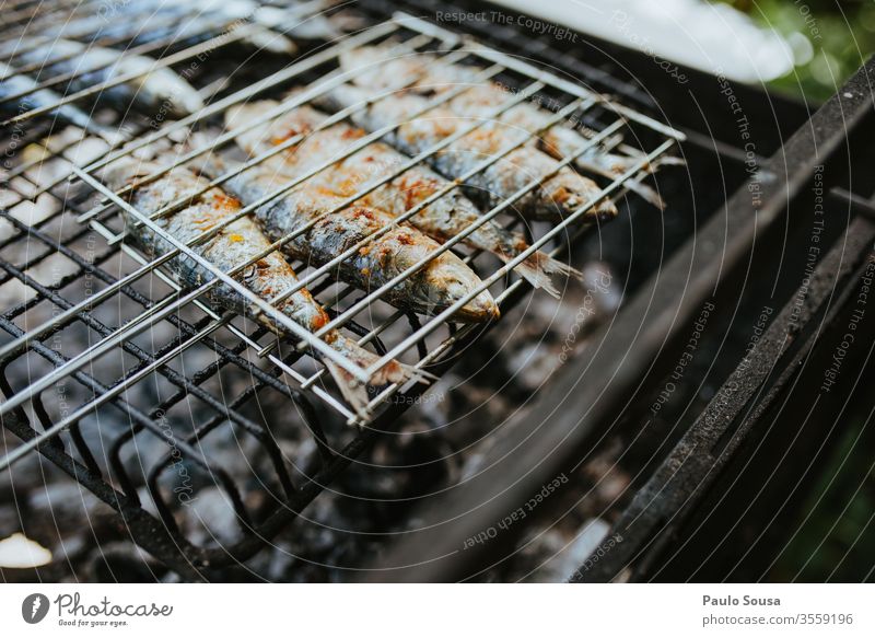 Close up grilled sardines Sardine Fish Grill Mediterranean Mediterranean food Diet Omega 3 fatty acid Summer Spring Nutrition Healthy Food Colour photo