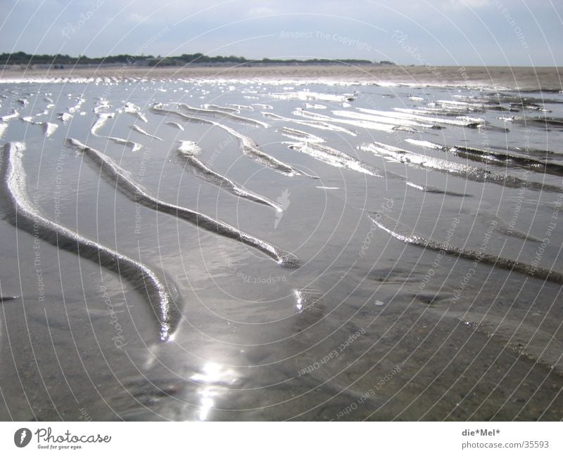 sand waves Beach Waves Ocean Gray Reflection Calm Vacation & Travel Netherlands Algae siel Beach dune Sun Water Sand Landscape Bright