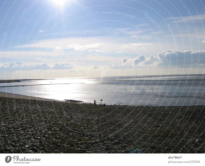 wanderlust Ocean Calm Sunset Light Clouds Loneliness Beach Water North Sea Blue Bright