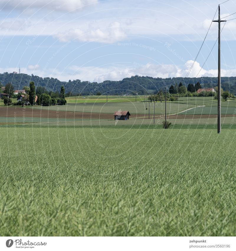 An agricultural landscape, the lower half is a wide field, further fields follow, a power line runs from the right, houses, groups of trees and a path structure the middle ground. Wooded mountain range in the background. Light clouds