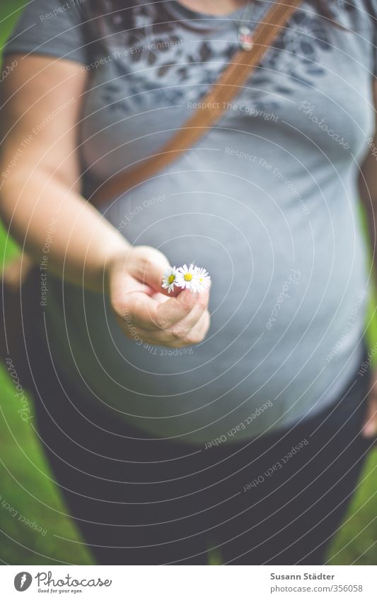 headless with daisies. Young woman Youth (Young adults) Body Stomach 1 Human being Flower Blossoming Donate Pregnant Baby bump Summery Headless Woman Daisy Bag