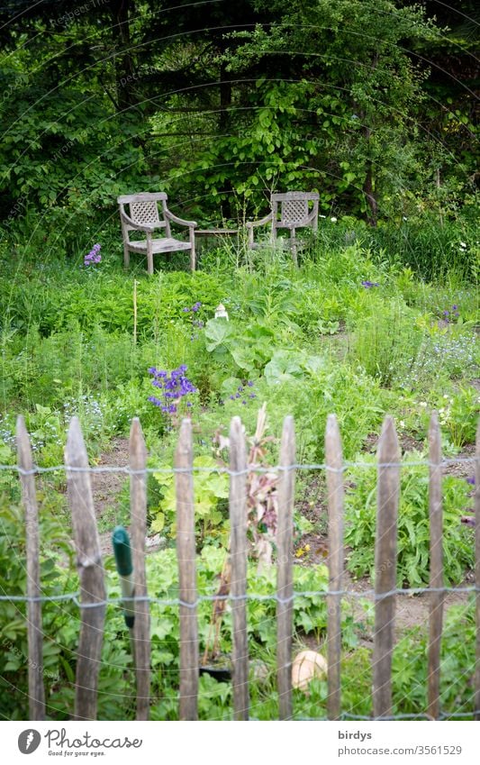 Idyllic farm garden with paling fence and comfortable seating Garden Herb garden Country  garden Biological Vegetable garden Nature Lounges chairs idyllically