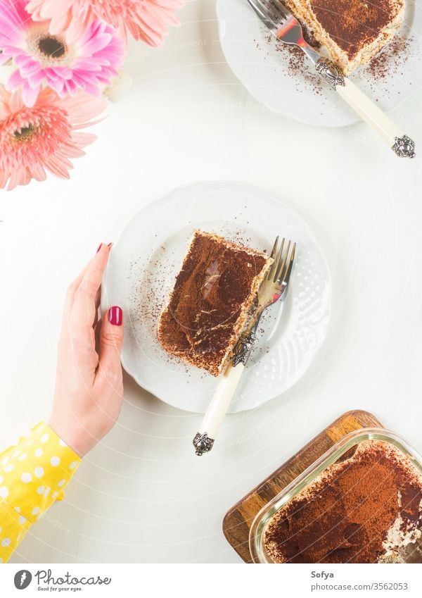 Coffee tiramisu dessert served on plates coffee cocoa mascarpone dish white traditional food powder flowers home made sweet italian flat lay above overhead