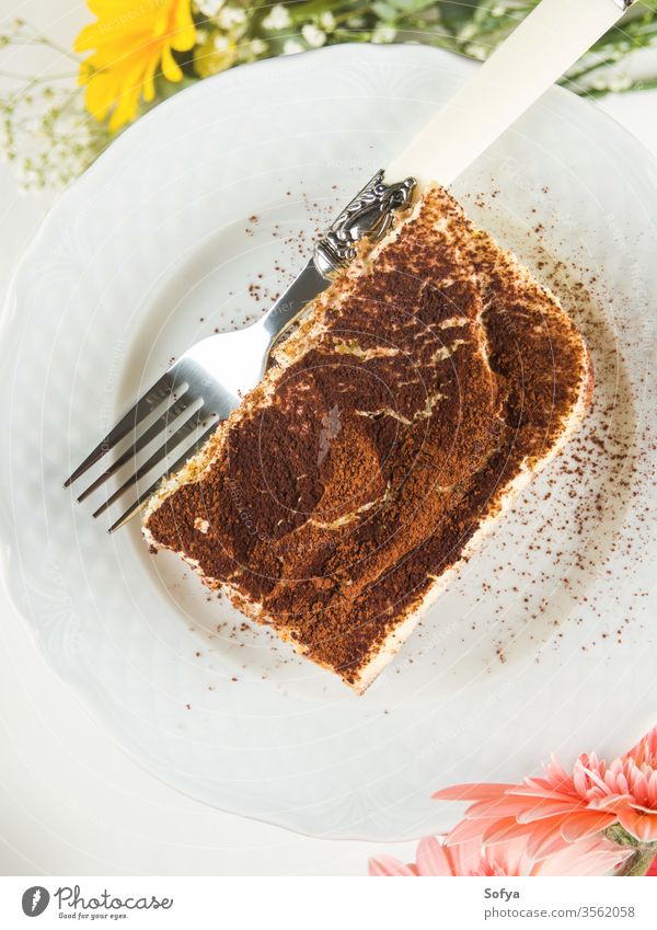 Coffee tiramisu dessert served on plates coffee cocoa mascarpone dish white traditional food powder flowers home made sweet italian flat lay above overhead