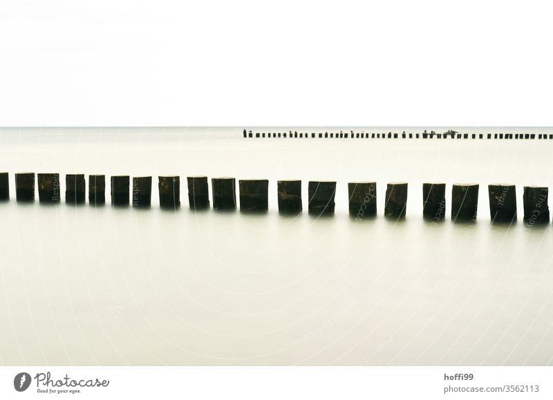 Groynes at the calm sea groynes Beach Stage Coast Ocean swell Baltic coast Baltic Sea Calm calm water Mecklenburg-Western Pomerania Nature Water