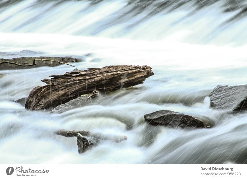 driftwood Vacation & Travel Nature Landscape Water Spring Summer Autumn Beautiful weather Waves Coast River bank Brook Waterfall Blue Brown Black White