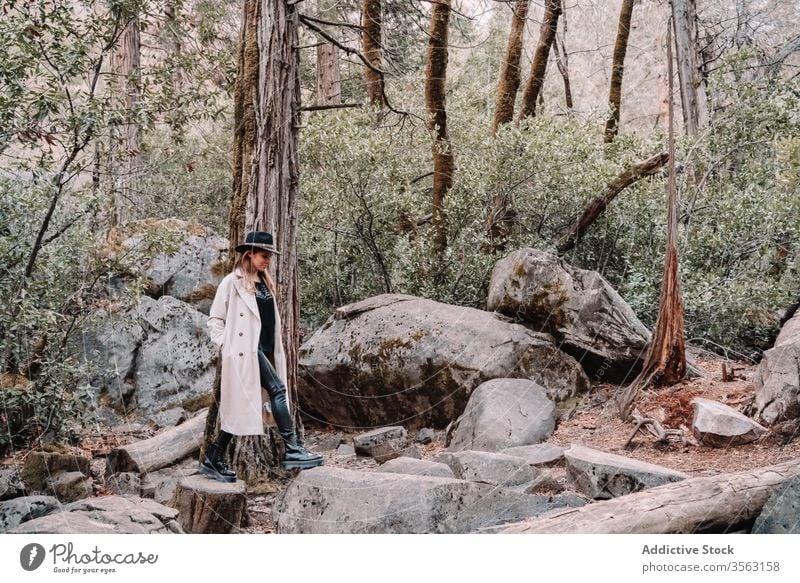 Stylish female traveler standing among stones in forest woman trendy style tree landscape yosemite park mountain rock national scenery california usa america