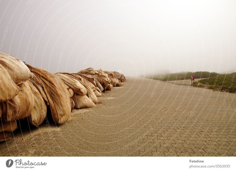 Bulwark - or huge sandbags that protect the island from the floods disappear in the fog Sandbags Deserted Colour photo Exterior shot Nature Day Plant