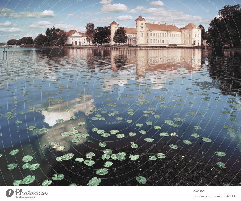 Rheinsberg Castle Lock Brandenburg Lake Pond Castle pond Water Water reflection Reflection Sky Clouds water lilies huts Idyll