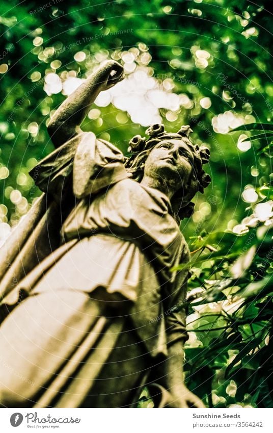 Angel statue from below in an old graveyard close up peaceful cemetery faith broken retro damaged carved stone tree buried death cherub cupid angel religion