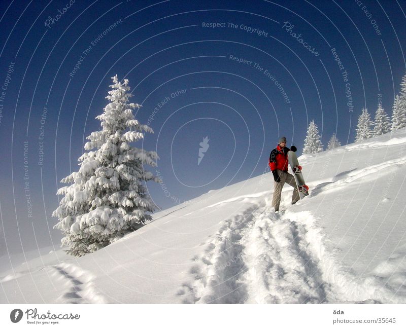 winter impression Winter Tree Vacation & Travel Snowboard Ski tour Tracks Snowboarder Break Wait Upward 1 Deep snow Powder snow Snowscape Slope Blue sky