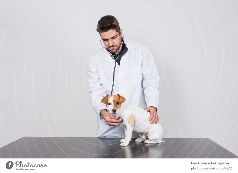 young veterinarian man examining a cute small dog by using stethoscope, isolated on white background. Indoors medicine owner male clinic happiness analysis