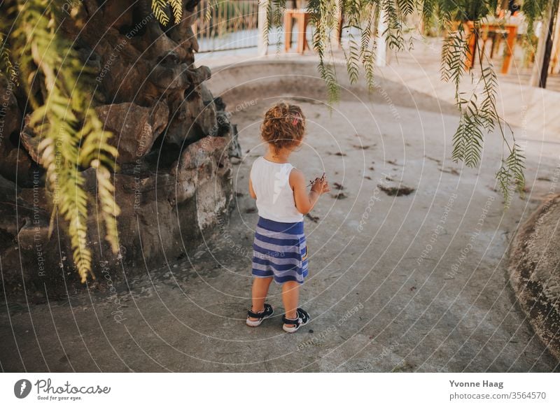 Child stands under a pepper tree in the sun Beach Sky Coast Clouds Colour photo Nature Wind Exterior shot Landscape Water Bad weather Climate Environment