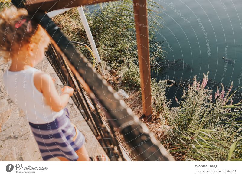 Child watching turtles in the water Hawaii Beach Sky Coast Clouds Colour photo Nature Wind Exterior shot Landscape Water Bad weather Climate Environment