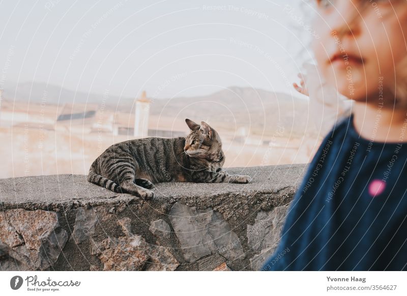 Relaxed cat is discovered by a girl Hawaii Gale Beach Sky Coast Clouds Colour photo Nature Wind Exterior shot Landscape Storm Water Bad weather Storm clouds