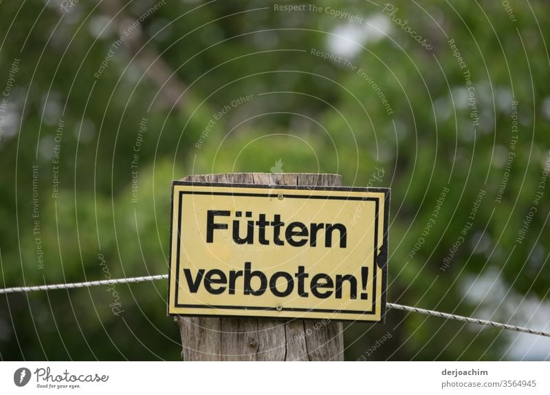 FORBIDDEN sign " No feeding " fixed on a wooden pole. In the background a lot of green. Prohibition sign Colour photo Exterior shot Signs and labeling Deserted