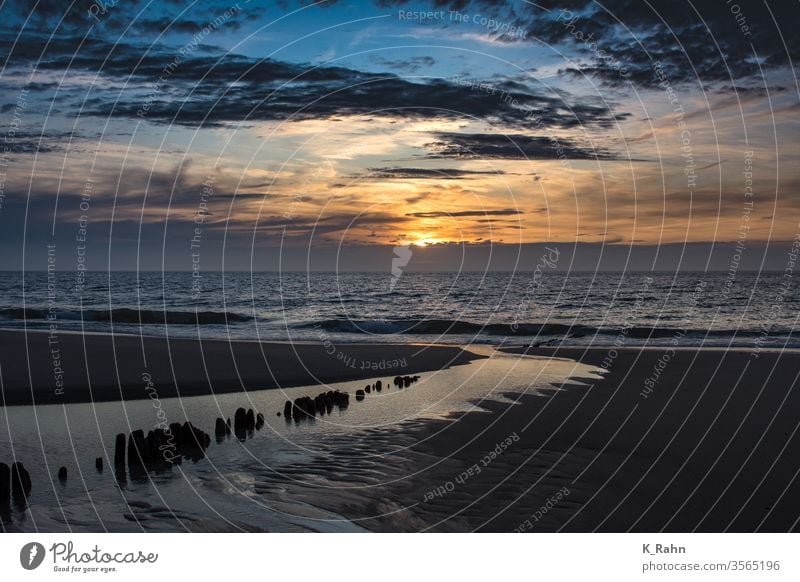 Sunset at the beach sunset Sunrise cloud wave Horizon Sand Coast Blue Evening seascape stranded Ocean Beach Water piers Sky Landscape ocean Lake Nature