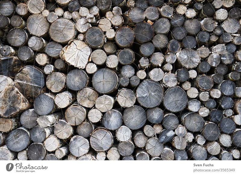 Logs stacked on top of each other along a forest path logs Firewood regenerative energy Renewable energy Natural product resource Round Stacked up round wood