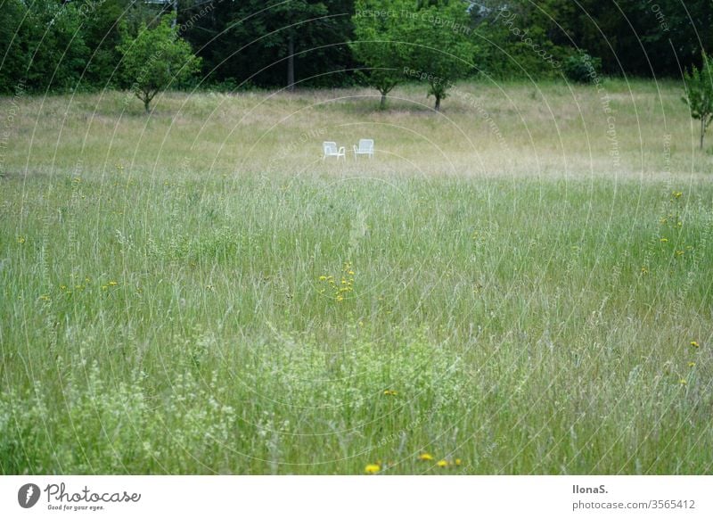 Two lonely chairs Chair Garden chair Park Meadow green huts Grass white chairs Nature Relaxation time-out Sit down