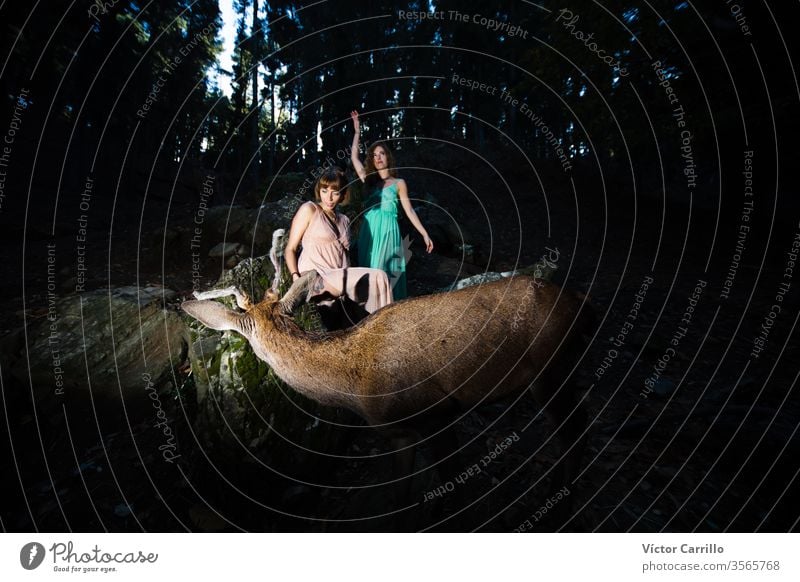 Two beautiful bohemian girls with a deer in a forest background joy park fun leisure pretty cool stylish autumn leaves dress romance country relationship trendy