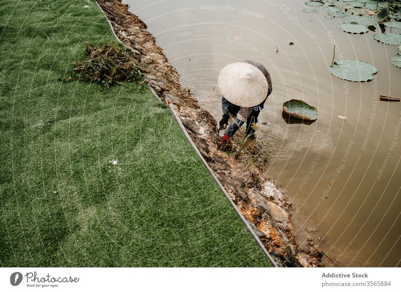 Worker in conical hat weeding soil near river worker cultivate person farmer hoe vietnam asia water dirty straw hat garden tool busy nature rural countryside